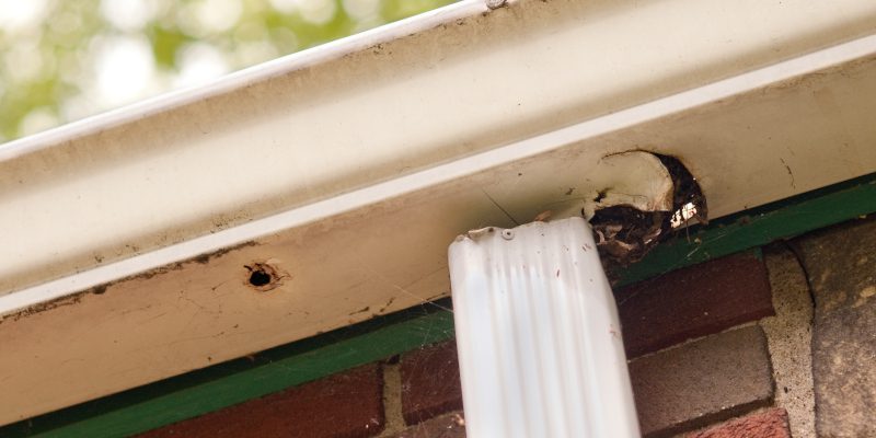 How to Tell When it’s Time for Gutter Replacement