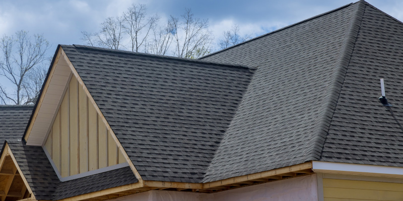 Do You Need Roofing Services?