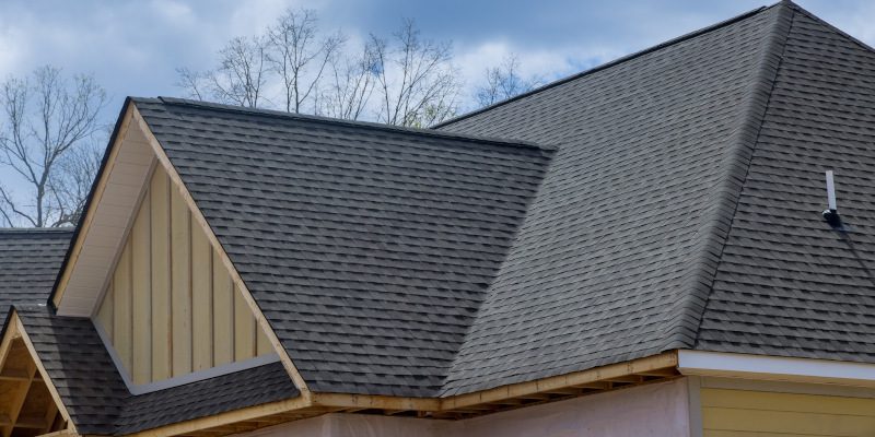 Do You Need Roofing Services?